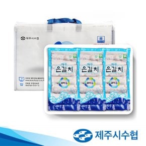 명품 은갈치(특대) 1.5kg (500g x 3팩)