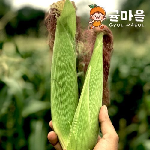 추가2이미지