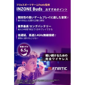 INZONE Buds : WF-G700N Fnatic   2.4GHz USBType-C  LE Audio    24    PS5 PC Switch 소니