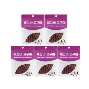 새감바 버거 고구마 100G 5팩  새우 바나나 고구마 강아지간식_P070469434