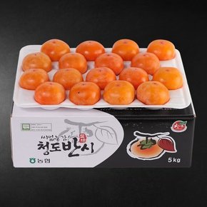 씨없는 청도반시5kg(중소과/40과내)