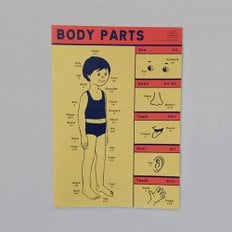 POSTER - BODY PARTS (YELLOW)