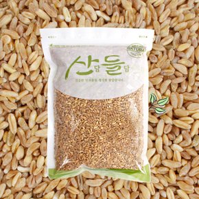 [산담들담] 우리잡곡 국내산 호라산밀 1kg(1팩)