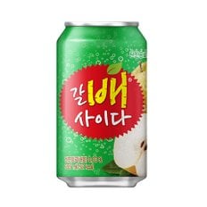 갈배사이다 355ml 24캔