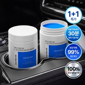 1+1 차량용 고체탈취제 250g 2종향 대용량 자동차 실내 공기 담배냄새 에어컨 냄새 제거