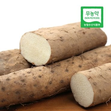  진주 무농약 참마 장마 알뜰마 2kg