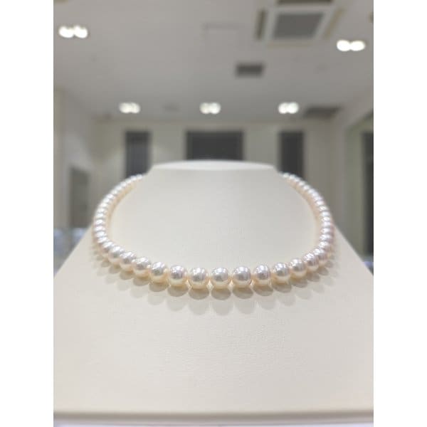 [파주점] [에센스비드(아코야6.5)] 아코야 해수 진주 6.5mm 비드 목걸이 14k 342400001