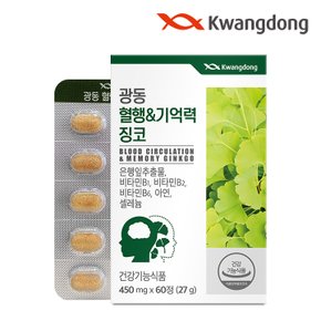 혈행앤기억력 징코 60정 2박스 / 은행잎추출물 비타민B