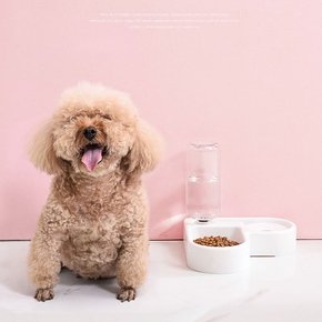 예홈펫 고양이 강아지 식기 밥 그릇 자동 물 급식기