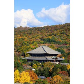 오사카/교토/고베 3일 황금 스케줄 BEST추천일정 낭만노면열차체험 롯코산가든테라스 엑스포시티 샤브샤브*쿠시카츠 무제한으로 즐기기