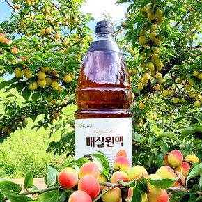 [광양진실매실] 진실매실 매실원액 1800ml x 1병