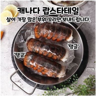 캐나다 랍스터테일 1미 (120g 내외)