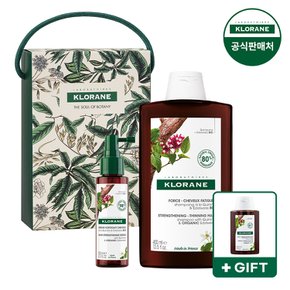 [클로란공식] 퀴닌 샴푸 400ml+세럼 100ml+샴푸100ml/추석세트