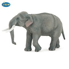 파포 (모형완구) 아시아 코끼리 (50131)