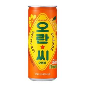 오란씨 오렌지 250ml 캔 1박스(30입) (S11280942)