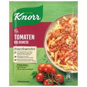 크노르 Knorr 토마토 볼로네제 스파게티 소스 46g