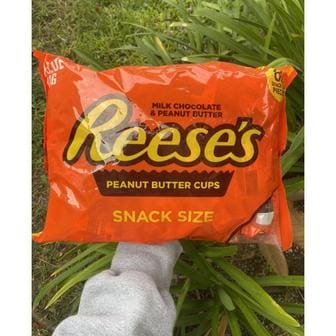  리세스 피넛버터 컵 대용량 65개입 REESE`S Peanut Butter Cups 1.02kg