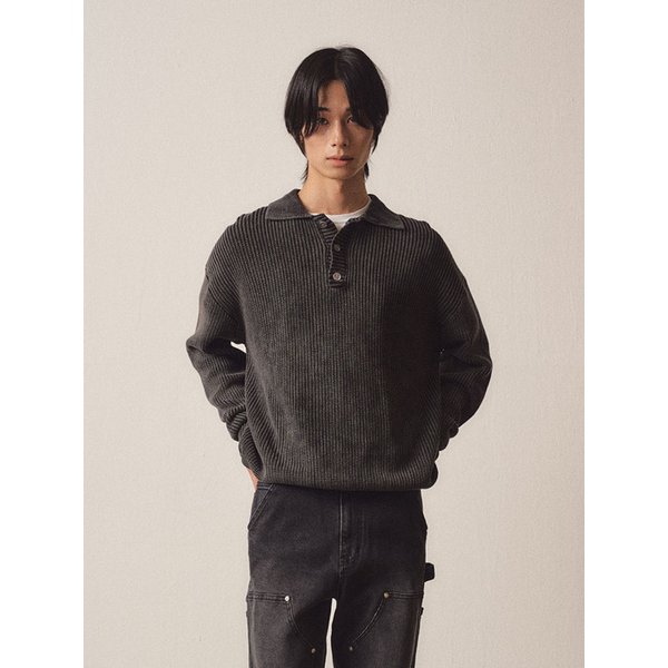 확대된 대표 image9