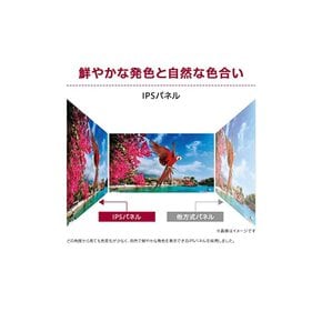 한정 LG 플레임레스 모니터- 디스플레이 24QP500-B 23.8인치/WQHD