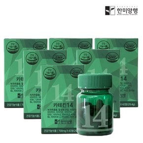 카테킨14 녹차추출물 체지방감소  다이어트보조제 700mg 6박스+쉐이크통 증정