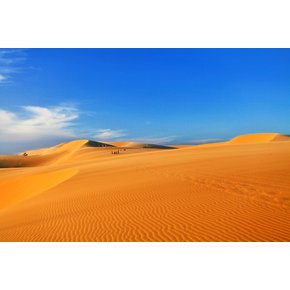 [NO옵션/야경에서 사막까지] 나트랑/무이네_ 야간시티투어 사막지프투어 - RS527
