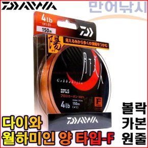 월하미인 양 타입F 카본 루어원줄 볼락 호래기