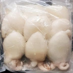 VFK 갑오징어(20-40 200g) (S23640400)