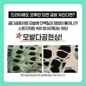 밀도케어 모발밀도강화 트리트먼트 바질 300ml+샴푸 트릿 키트 56ml+파우치