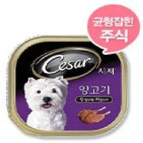 시저 양고기 100g 1box 24ea 강아지 통조림 간식 (WA2204D)