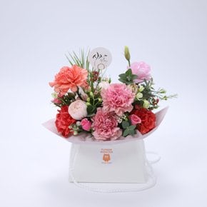 비앙코 카네이션 +우리밀 약과 어버이날,,스승의날,부모님선물,카네이션,카네이션선물,감사선물,꽃선물,,전국배송,익일배송