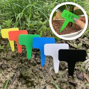 식물 화분 이름표 네임텍 라벨 화이트 10x6cm