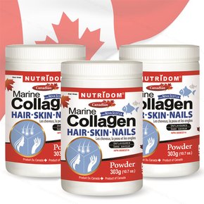 뉴트리돔 캐나다 마린 콜라겐 헤어스킨네일 분말 303g x3병