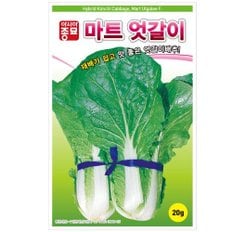 아시아종묘 씨앗 배추 마트엇갈이 500g