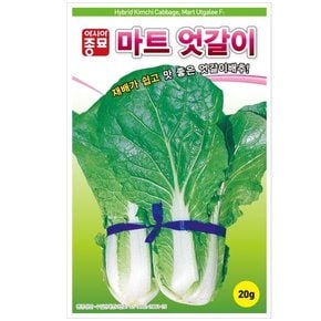 배추씨앗종자 마트엇갈이 (500g) 미니배추