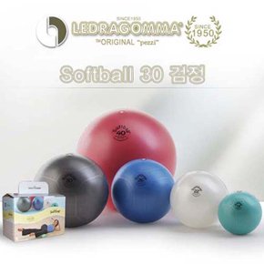 이태리 레드라곰마 짐네스틱_짐볼 맥스카페 소프트볼 30 (softball)