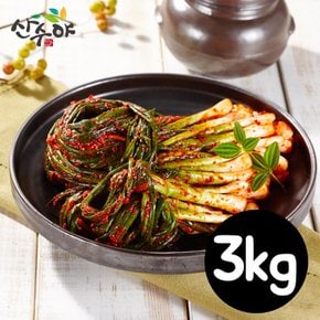 산수야 파김치 3kg