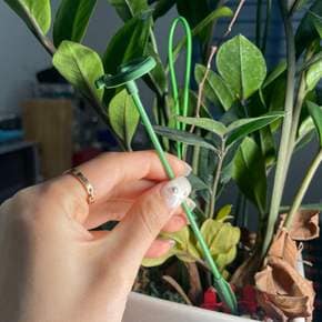 식물지지대 화초 화분 17cm 화분지지대