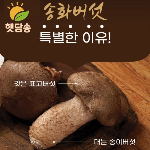 상품이미지6