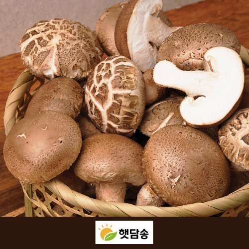 상품이미지7