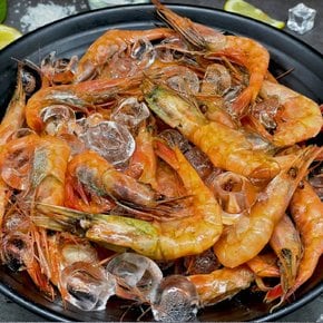 국내산 생물 홍새우 500g