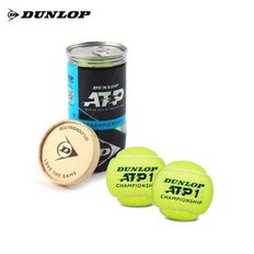 던롭 ATP 챔피언쉽 캔볼 테니스공 시합구 1캔 2입