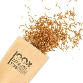 건조고소애 80g 고소애 밀웜
