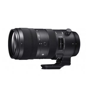 SIGMA 70-200mm F2.8 DG OS HSM  Sports S018  Canon EF 마운트  Full-SizeLarge-Format