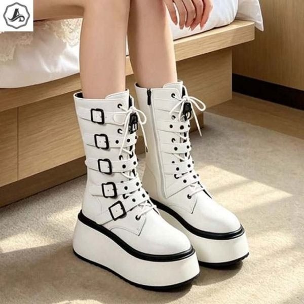 확대된 대표 image1