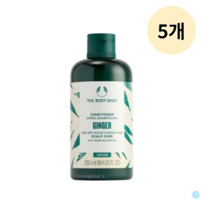 더바디샵 진저 스캘프 헤어 컨디셔너 휴대용 250ml X5