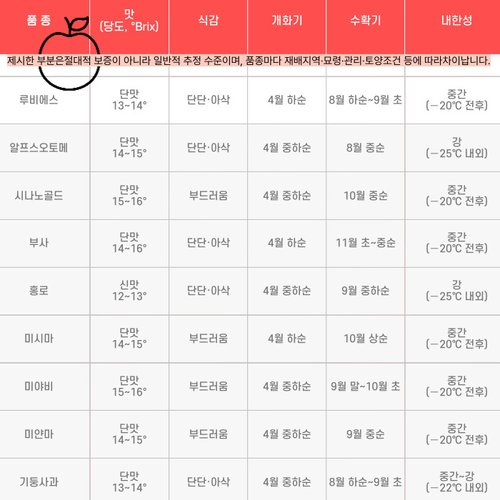 추가이미지3