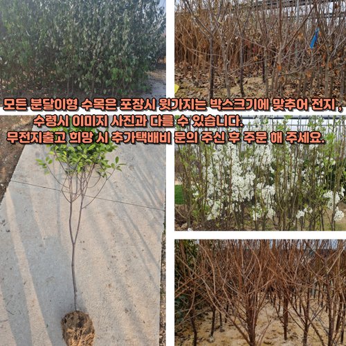 추가이미지8
