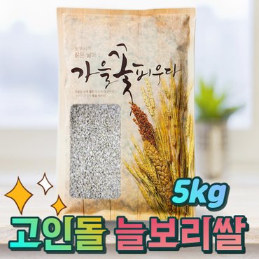 고인돌 H국내산 잡곡 늘보리쌀 늘보리 5kg