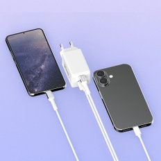 미니멈 GaN 65W PD PPS 2포트 멀티 C타입 초고속충전기+60W 메탈 고강도 CtoC 초고속케이블 1.5m