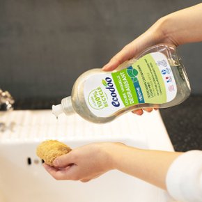 프랑스 주방세제 민트 500ml